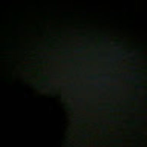 Meet your Posher, Teneshia